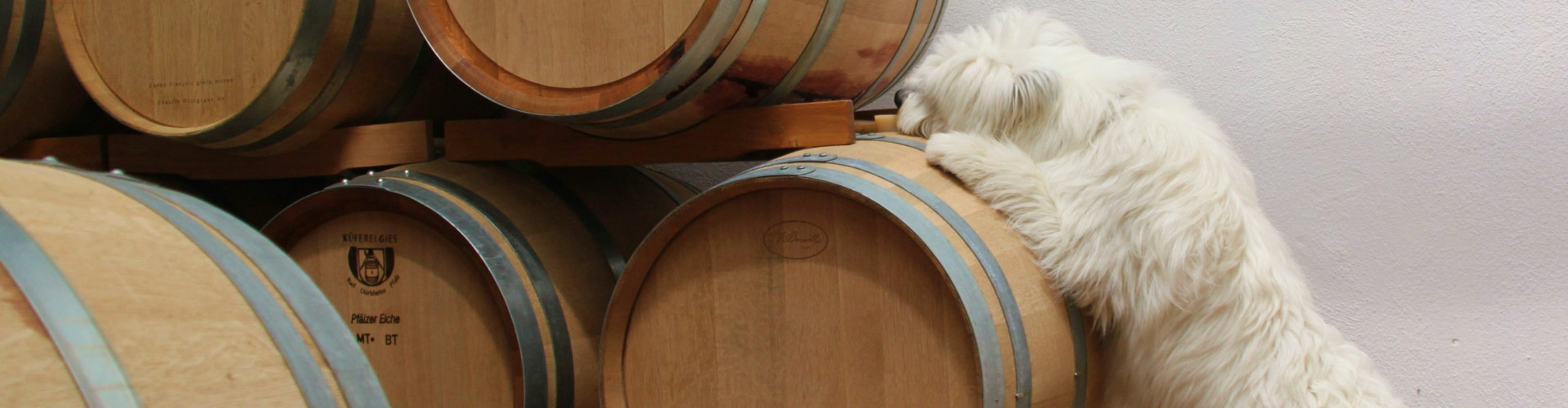 kategorie_rotwein